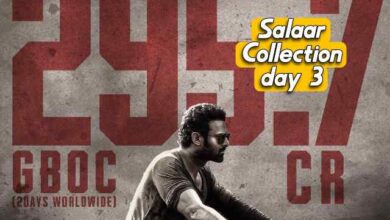 Salaar box office collection day 3