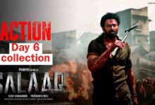 Salaar day 7 box office collection