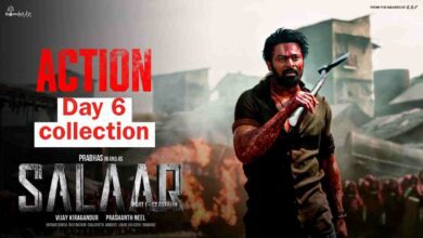 Salaar day 7 box office collection