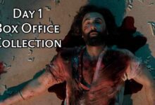 Aminal Day 1 Box Office Collection