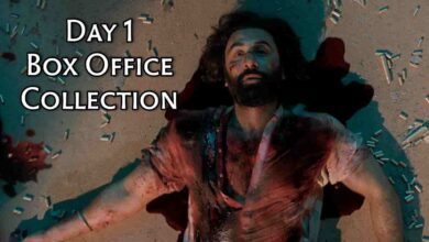 Aminal Day 1 Box Office Collection