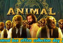 Animal box office collection day 22