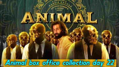 Animal box office collection day 22