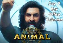 Animal box office collection day 9