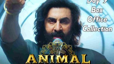 Animal box office collection day 9