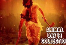 Animal box office collection day 14