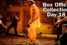 Animal box office collection day 18