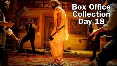 Animal box office collection day 18