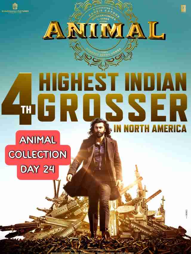 Animal box office collection day 24