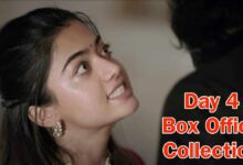 Animal Box Office Collection Day 4