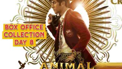 Animal day 8 box office collection