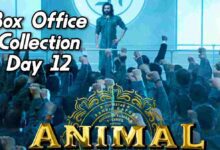 Animal day 12 box office collection