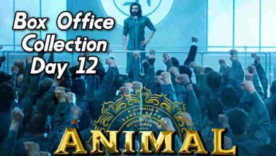 Animal day 12 box office collection