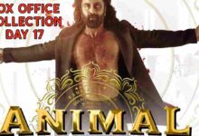 Animal box office collection day 17