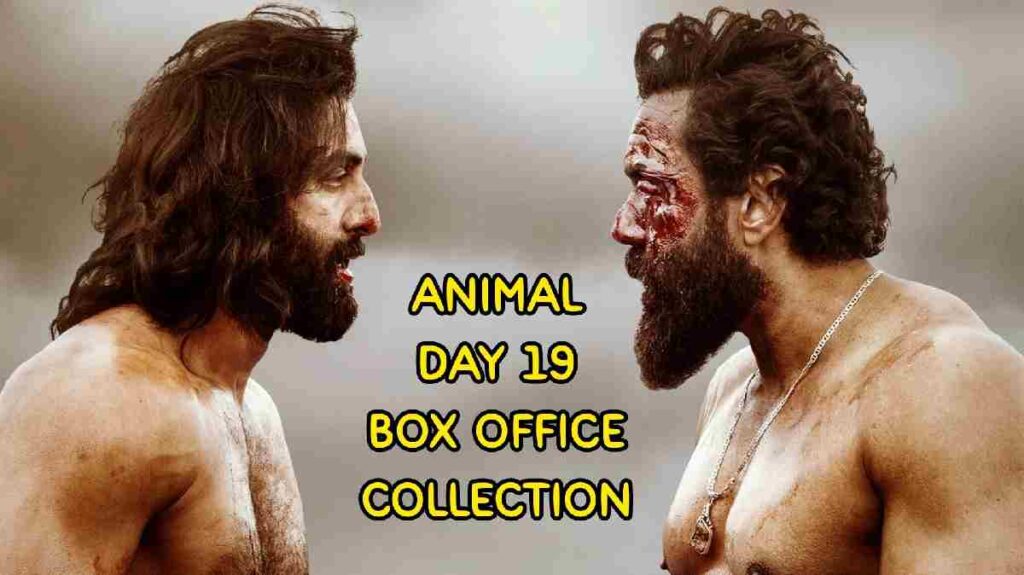 Animal collection day 19