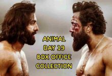 Animal collection day 19