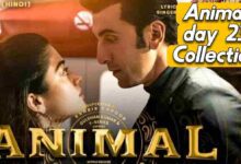 Animal box office collection day 23