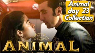 Animal box office collection day 23