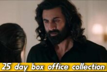 Animal box office collection day 25