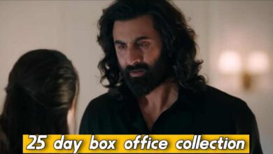 Animal box office collection day 25