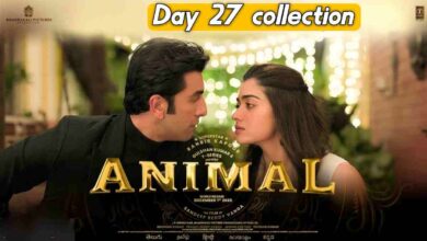 Animal box office collection day 27