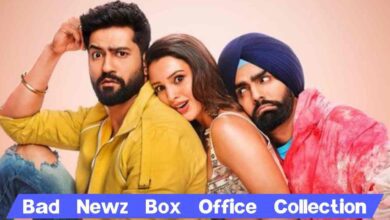 Bad Newz box office collection